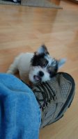 20180604_161230.jpg