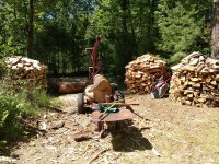 IMG_20180605_145027464.jpg