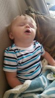 20180520_105113.jpg