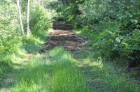 tractor road.jpg
