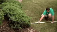 579C4488-C512-4BDB-867D-08D8567B77C4.gif