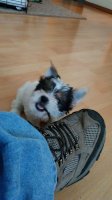 20180604_161227.jpg