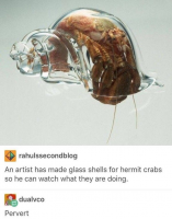 85680797.png