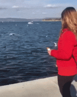 daily-morning-awesomeness-4 (1).gif