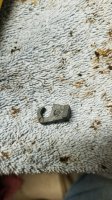 20180618_150932.jpg