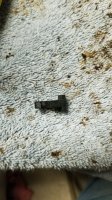 20180618_150938.jpg