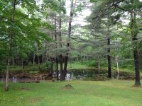 IMG_20180616_183651974.jpg