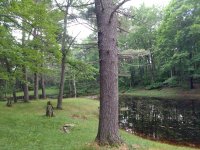 IMG_20180618_200831276.jpg