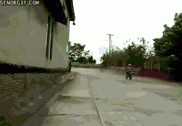 952E1A5F-11B0-4D5F-86D6-0CE0886817C6.gif