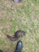 IMG_20180619_155756930.jpg