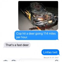85688590.jpg