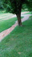 20180622_172235.jpg