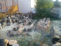 DSC07958.JPG