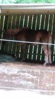 20180622_184746.jpg