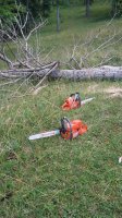 20180624_145922.jpg