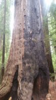20180624_160755.jpg