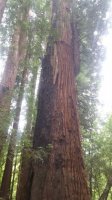 20180624_160648.jpg