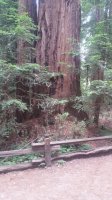 20180624_155731.jpg