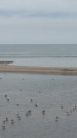 20180625_121621.jpg