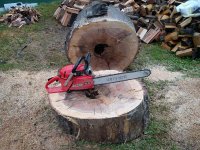 Dolmar PS6400-110cmStamm4.JPG