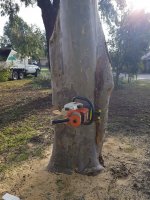 20180627_100959.jpg