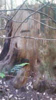 20180627_143136.jpg