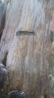 20180627_143123.jpg