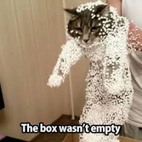 images (16).jpeg