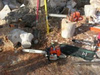 DSCN9617.JPG