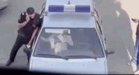 hold-my-cosmo-151.gif