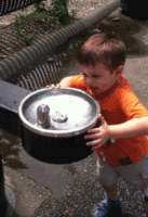 38a3e2591524f6f2d0c65238676f058d (1).gif