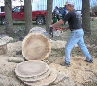 Edwin Using Stihl 084 Chainsaw.jpg