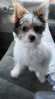 20180706_192038.jpg