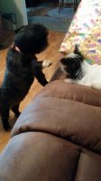 20180706_184626.jpg