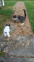 20180706_183446.jpg