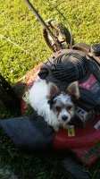 20180708_082534.jpg