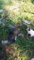 20180708_083825.jpg