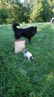 20180708_083624.jpg
