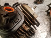 20180619_174806.jpg