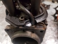 20180619_174816.jpg