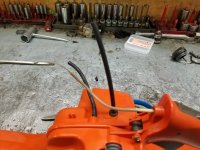 20180625_104536.jpg