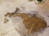 20180709_093601.jpg