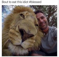 85707186.jpg