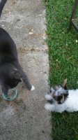 20180710_185843.jpg