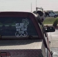 __2226ba8d4b287c5a0fe8cf82a506e85d_width-600.jpeg