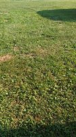 20180711_183009.jpg
