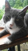 20180623_103235.jpg