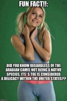 50E4680C-206D-407A-94A1-55C6362C1E6C.jpeg