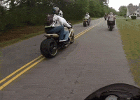 tumblr_pbpswvVuh41xzuvg7o1_500.gif