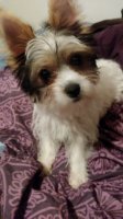 20180710_212822.jpg